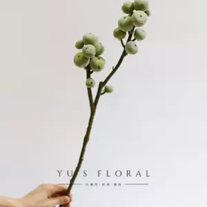 Simulated fruit, fig, green home decoration, living room display, flower arrangement, photography props, landscaping - green