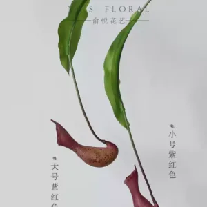 Simulated flower pitcher plant, high-end niche flower material, home decoration line, soft decoration, landscaping, single flower material, photography props - One each for large and small sizes