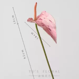 Some lonely high-quality flowers are sold at low prices and are by no means defective. The quantity is small and sold out. There will be no continuous updates... - Palm-Pink