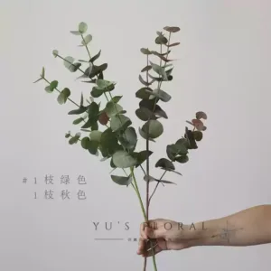 Artificial flower, Australian eucalyptus leaf, green single branch artificial flower, leaf material, indoor home decoration, photography props - 1 branch of autumn color 1 branch of green