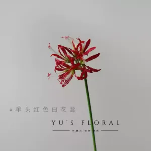 Simulated flower Bana flower fake Lycoris flower Manzhu Shahua single branch silk flower photography props indoor flower placement floral art - Single-headed red and white stamens