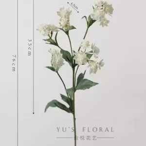 Some lonely high-quality flowers are sold at low prices and are by no means defective. The quantity is small and sold out. There will be no continuous updates... - Xingqin-milky white