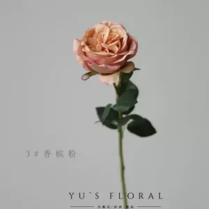 Artificial flowers, single-headed lychee rose, Morandi color, earth color, florist, photography, layout and display - 3# Champagne powder