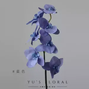 Simulated flower phalaenopsis nude pink jasper feels moisturizing low saturation color space decoration floral display photography - blue